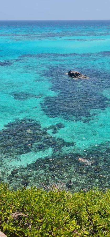 Posada Ocean Colors Rocky Point المظهر الخارجي الصورة